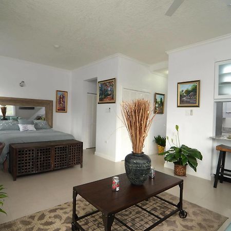 Kingsway New Kingston Guest Apartment II Zewnętrze zdjęcie